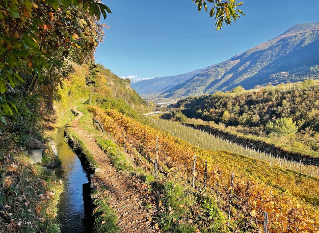 Der Herbst ist in Südtirol und besonders im Vinschgau eine ideale Zeit zum Wandern. Im Tal der Waale führen Wanderwege entlang der Bewässerungsgräben, die einst das Wasser von den Bergen hinab ins Tal beförderten. Bild: Thomas Burgert