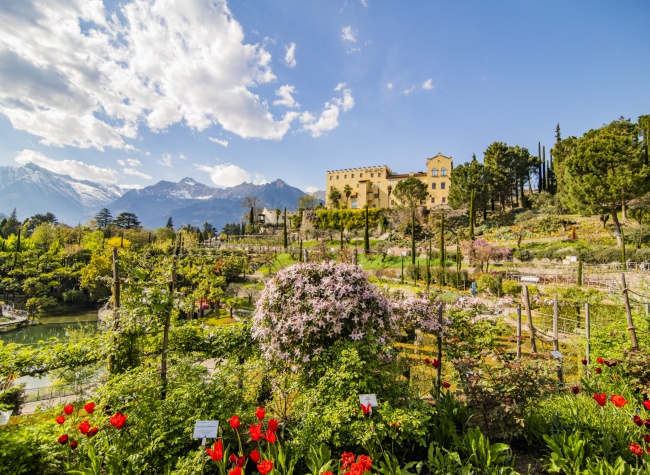 Die Gärten von Schloss Trauttmansdorff liegen oberhalb von Meran. | Bild: Schloss Trauttmansdorff/Karlheinz Sollbauer